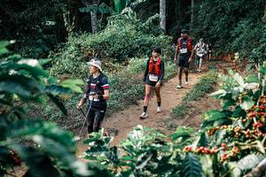 BIB: 
                            <button type="button" onclick="openModal(25851261)" class="btn btn-primary btn-sm float-right btn-popup" data-toggle="modal" data-target=".modal-high-quality">
                        <i class="fas fa-shopping-cart"></i> Add to Cart
                    </button>
                                            <button type="button" onclick="isThisMe(25851261, true)" class="btn btn-success btn-sm float-right btn-popup btn-isme hidden" data-toggle="tooltip" data-placement="bottom" title="นี่คือรูปของคุณใช่ไหม คลิกที่นี่เพื่อเอาเข้าอัลบั้ม">
                        <i class="fas fa-plus"></i> Add to album
                    </button>
                    <button type="button" onclick="isThisMe(25851261, false)" class="btn btn-warning btn-sm float-right btn-popup btn-isnotme hidden">
                        <i class="fas fa-ban"></i> Remove from album
                    </button>